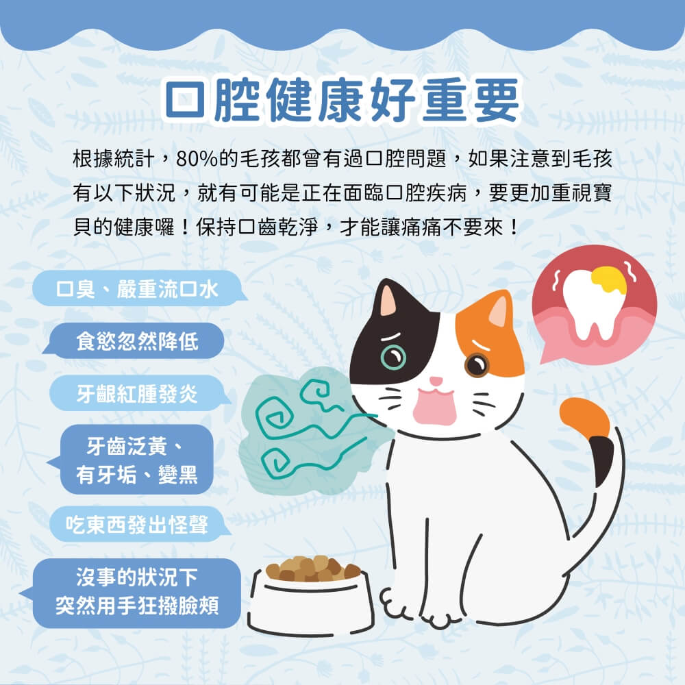 CatFeet 呼嚕愛乾淨葡萄糖胺化毛潔牙餅