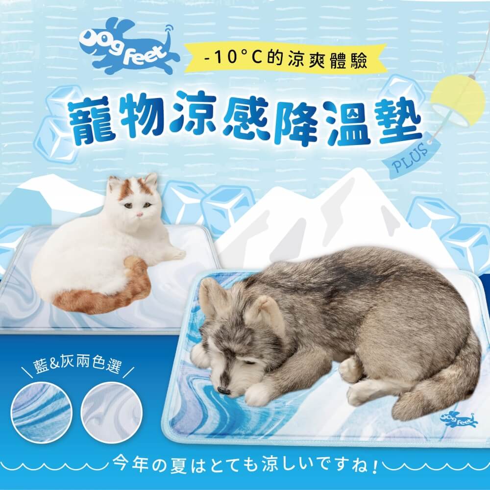寵物涼墊推薦｜DF寵物涼感降溫墊PLUS